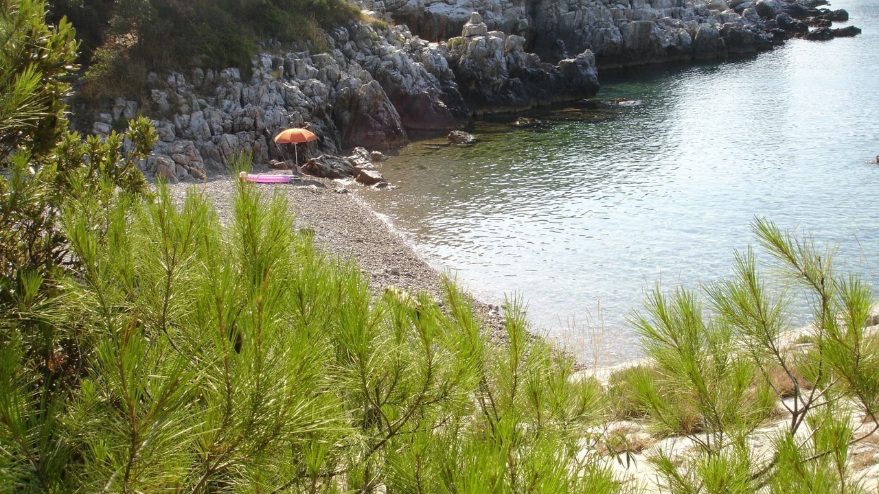 Photo of Others in Stanisovi