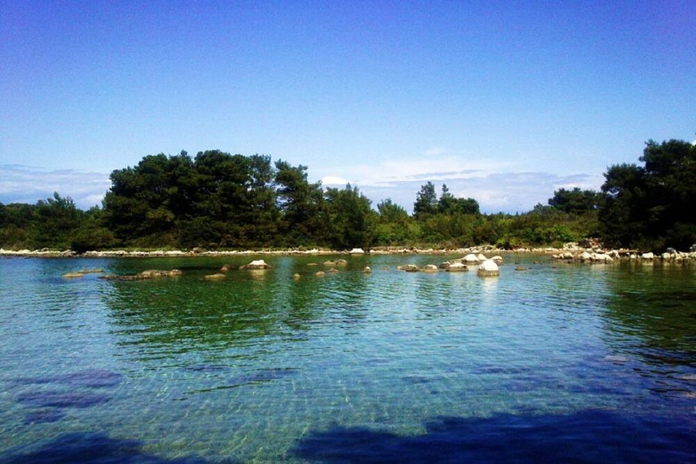 Photo of Outdoor in Molat