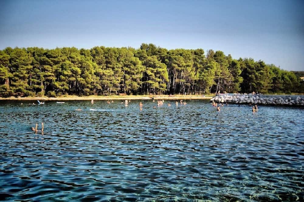 Photo of Others in Molat