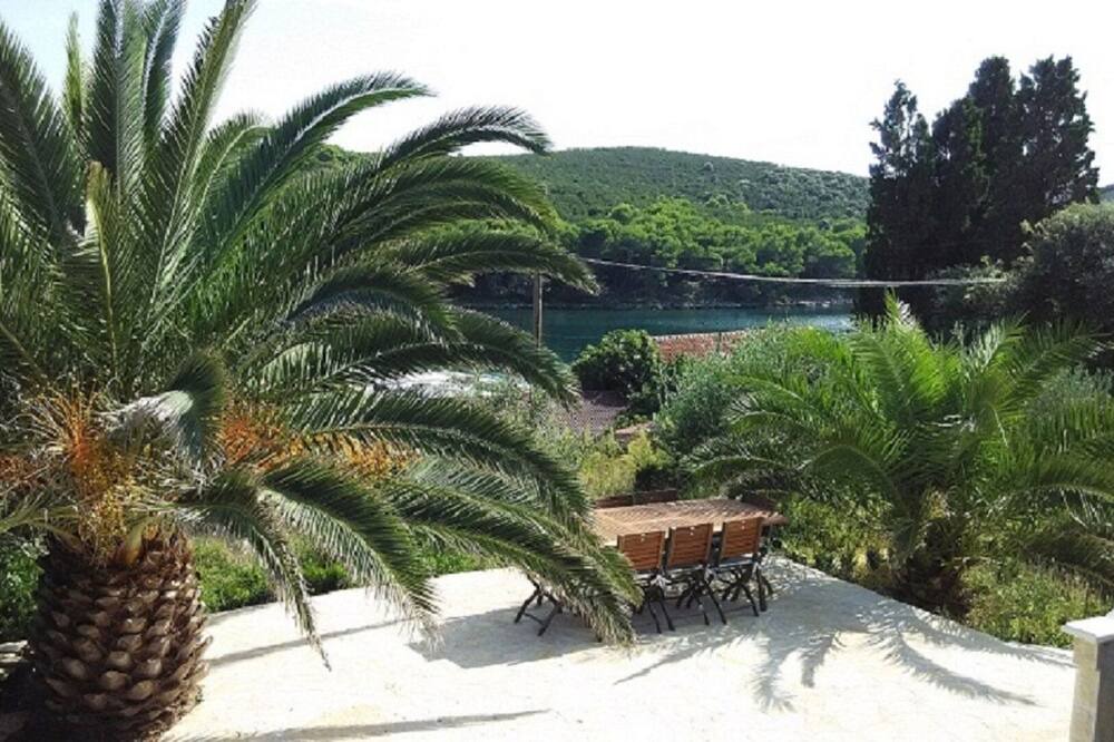 Photo of Outdoor in Molat