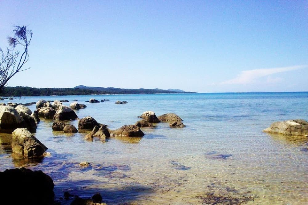 Photo of Others in Molat