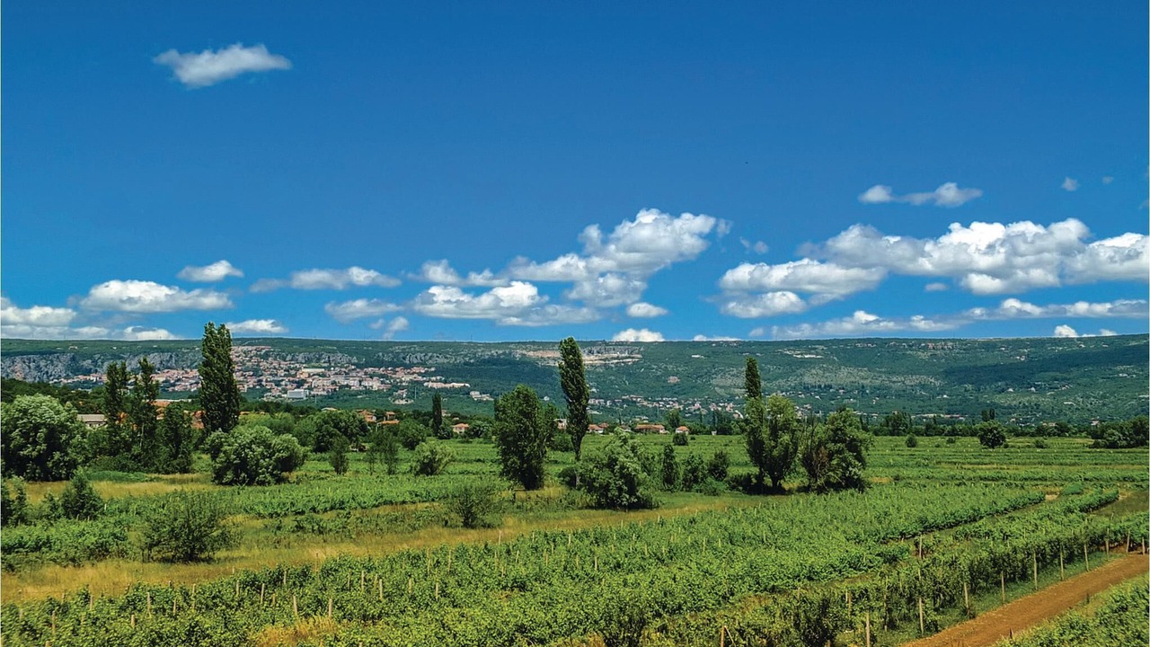 Photo of Outdoor in Donji Prolozac