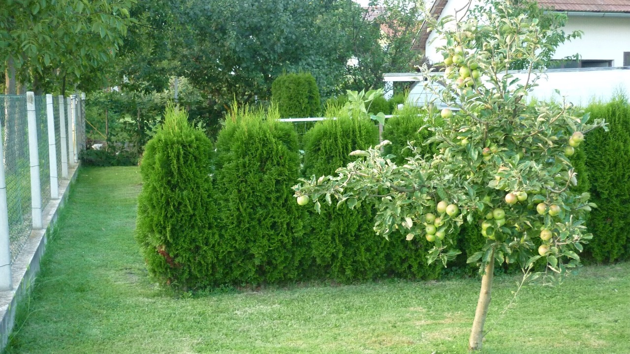 Photo of Outdoor in Prelog