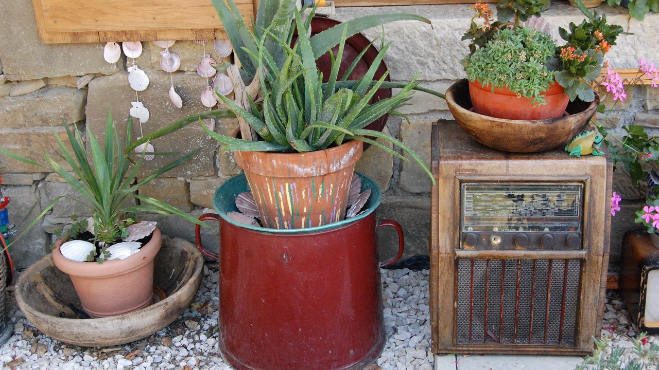 Photo of Outdoor in Bric