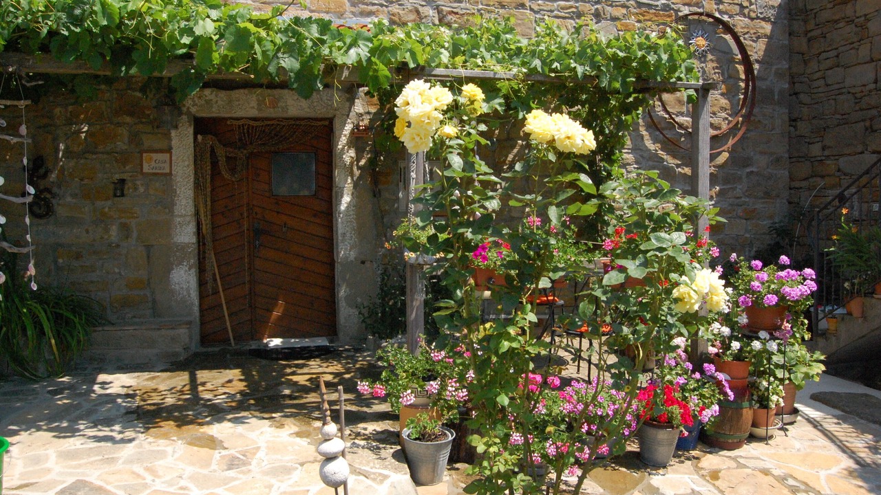 Photo of Outdoor in Bric