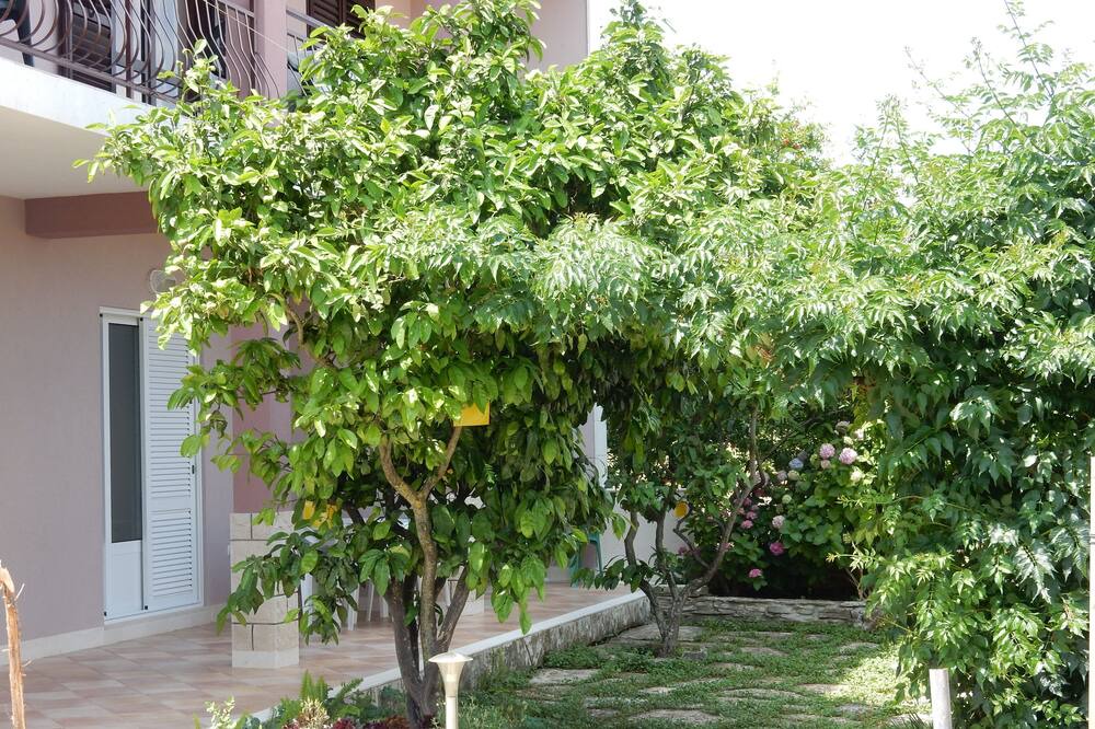 Photo of Outdoor in Loviste