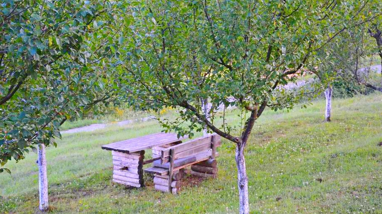Photo of Outdoor in Poljanak