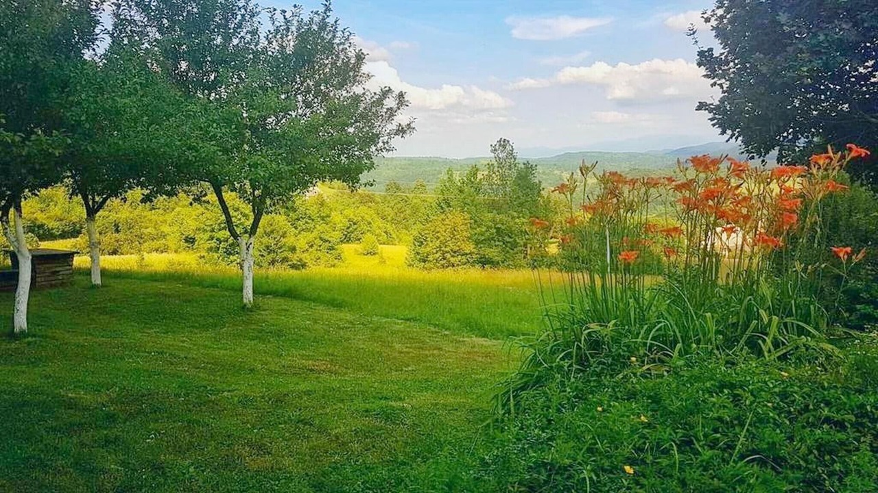 Photo of Outdoor in Poljanak