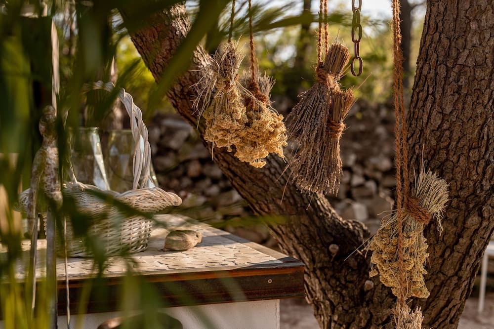 Photo of Outdoor in Stari Grad