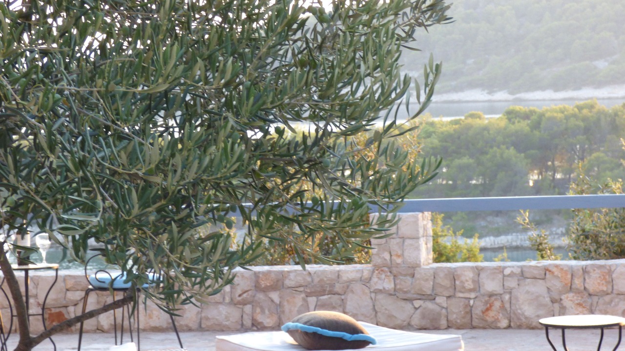 Photo of Outdoor in Milna (Brac)