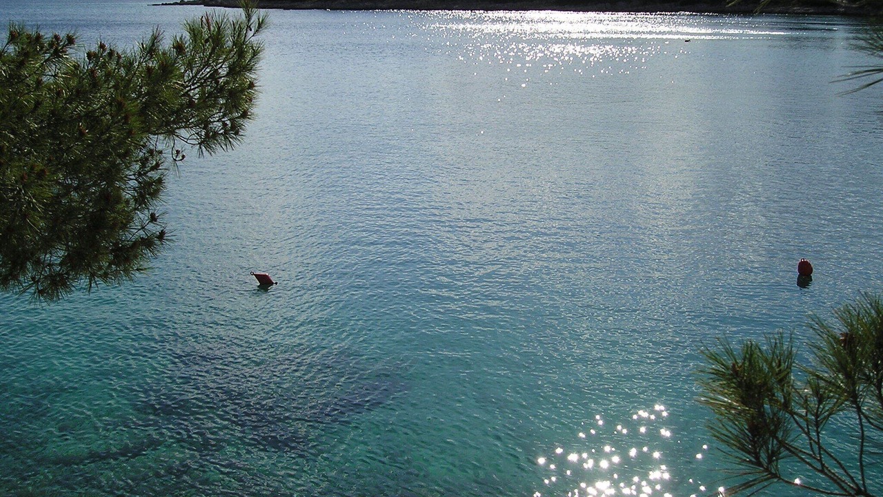 Photo of Others in Milna (Brac)