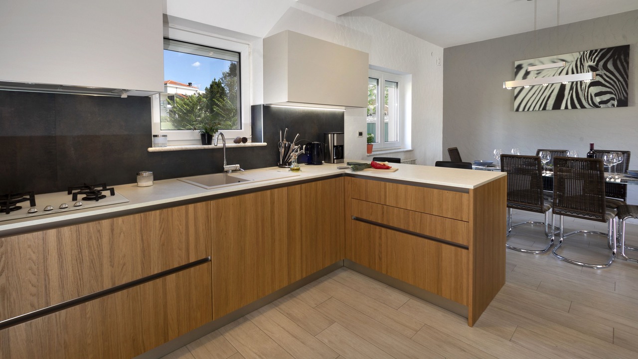 Photo of Kitchen in Kosinozici