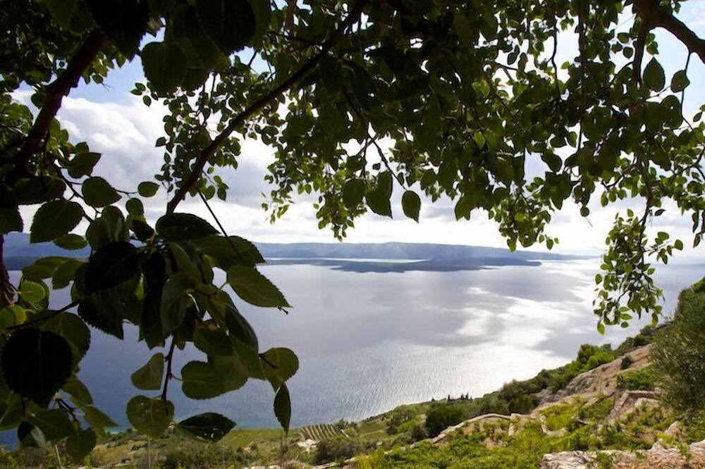 Photo of Outdoor in Milna (Brac)
