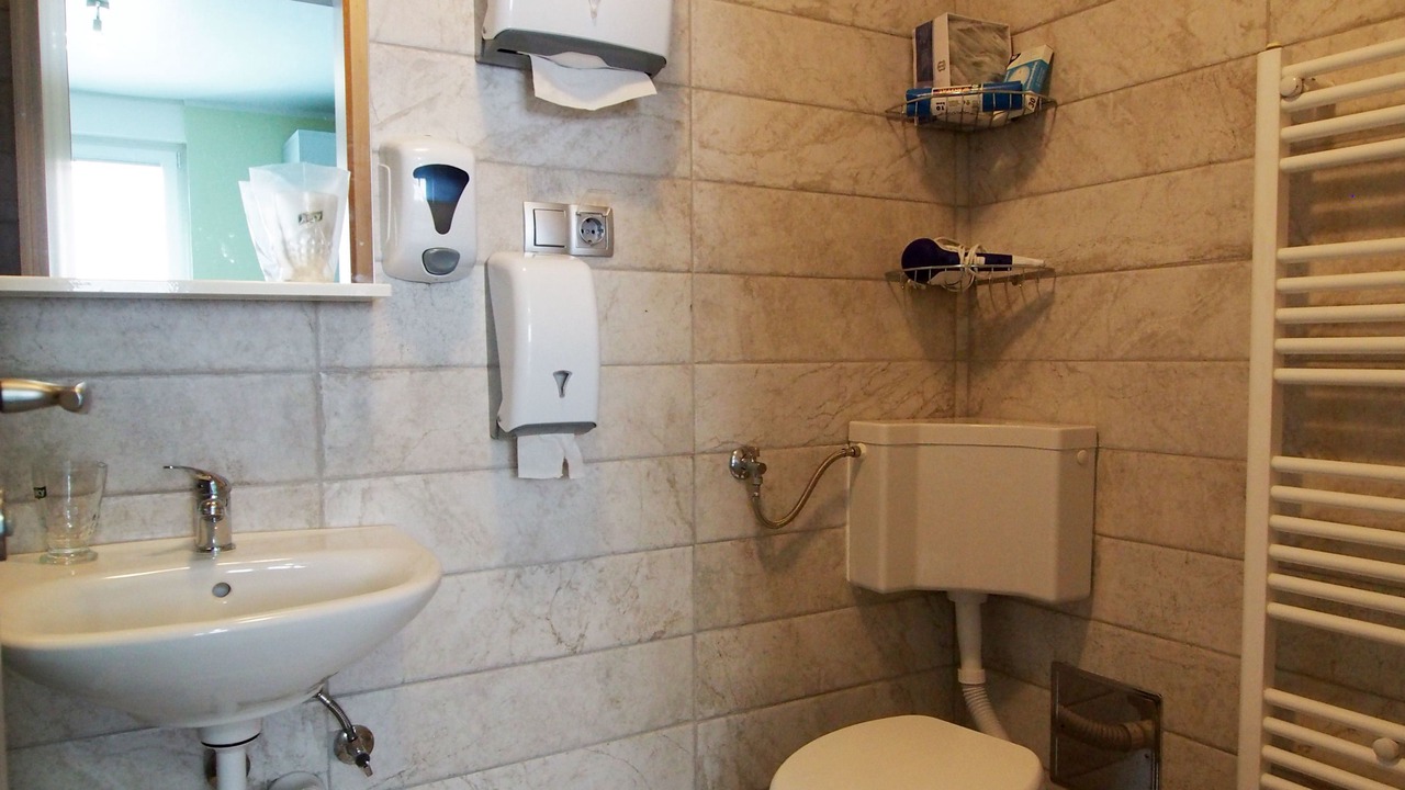 Photo of Bathroom in Pisarovina