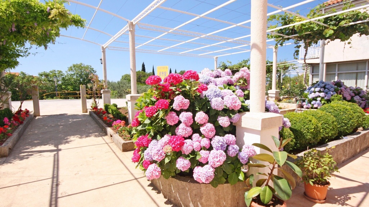 Photo of Outdoor in Mlini