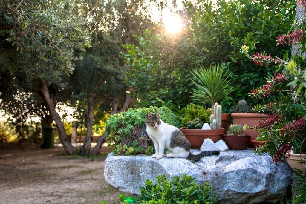 Photo of Outdoor in Dugi Rat