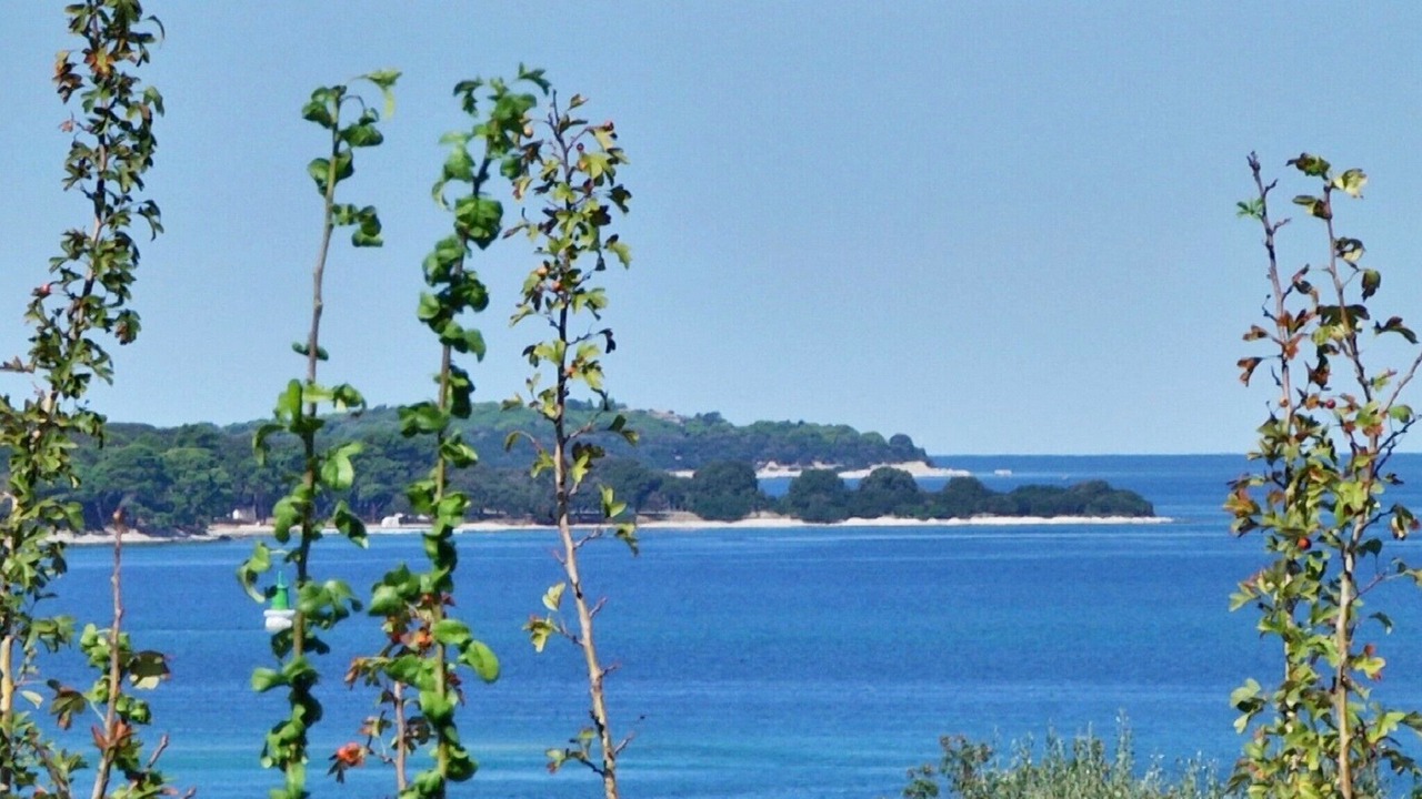Photo of Others in Stinjan