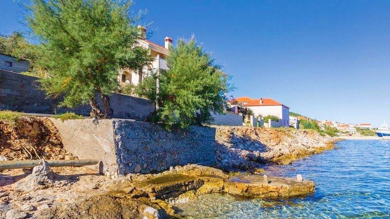 Photo of Others in Kali