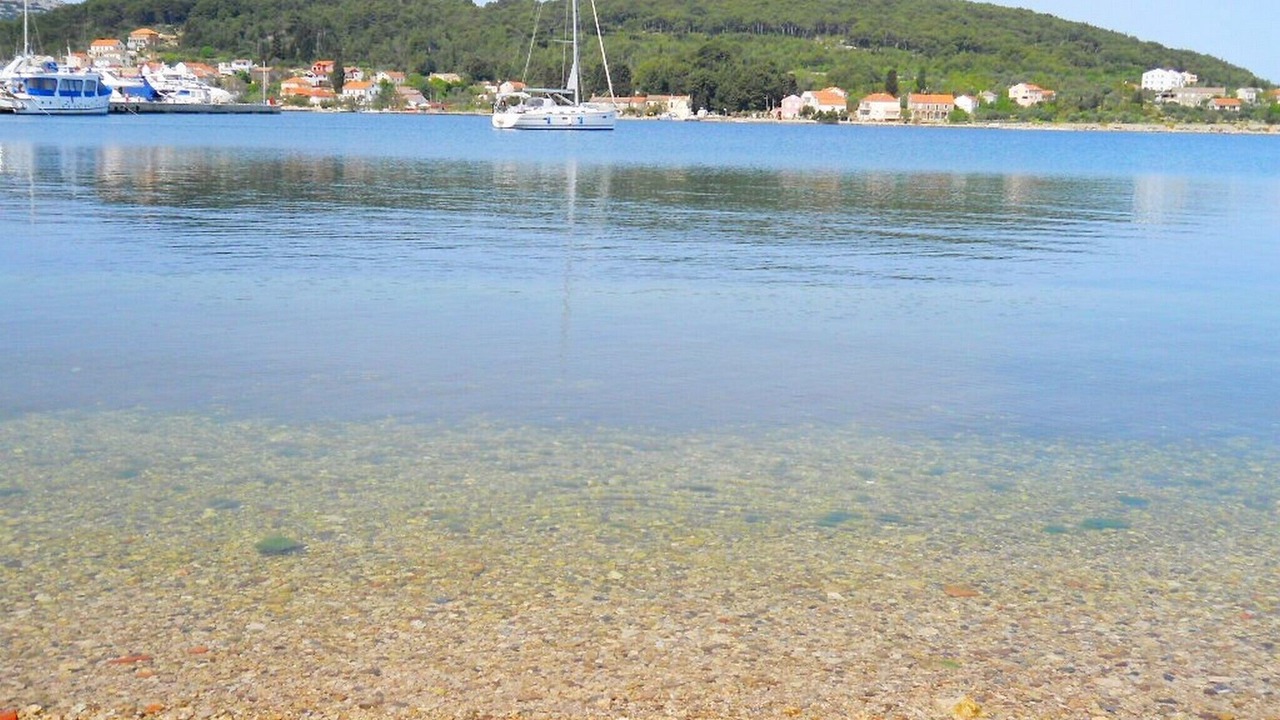 Photo of Others in Sutomiscica