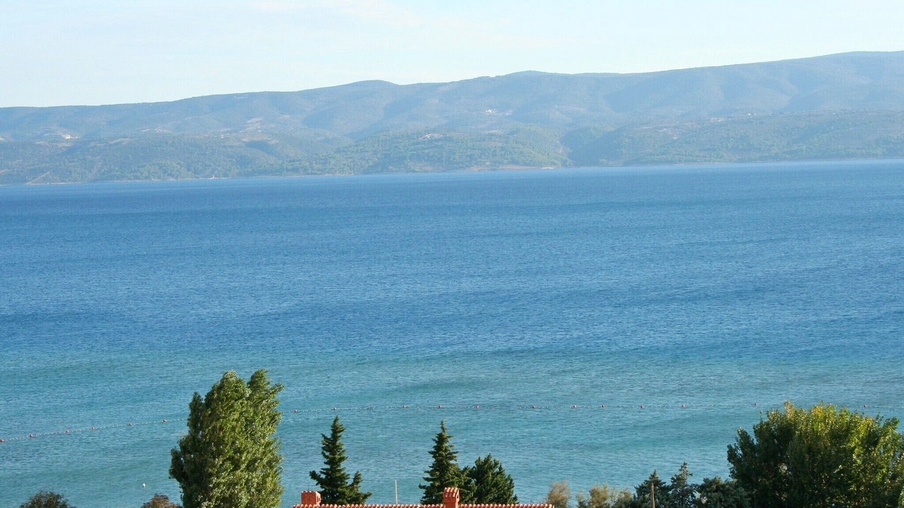 Photo of Others in Duce