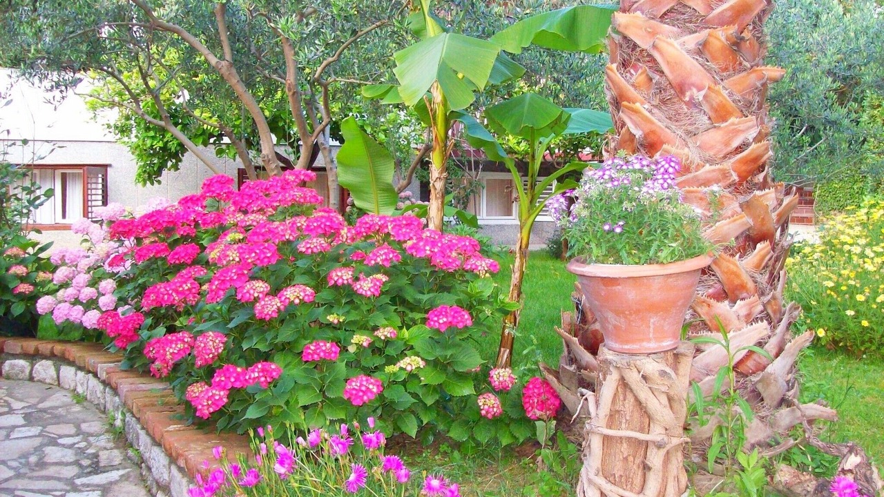 Photo of Outdoor in Banjol