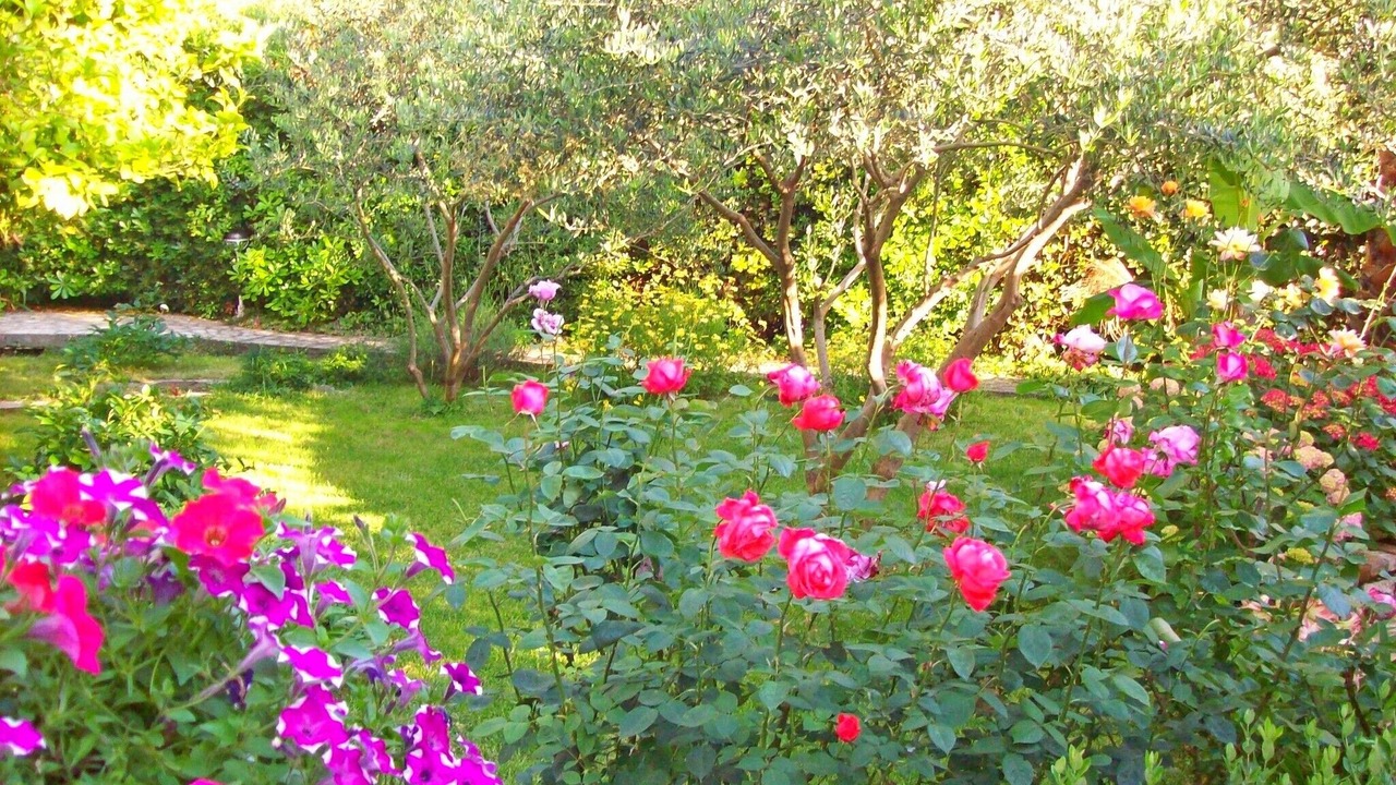Photo of Outdoor in Banjol