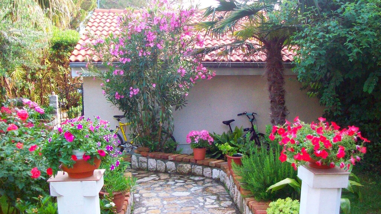 Photo of Outdoor in Banjol