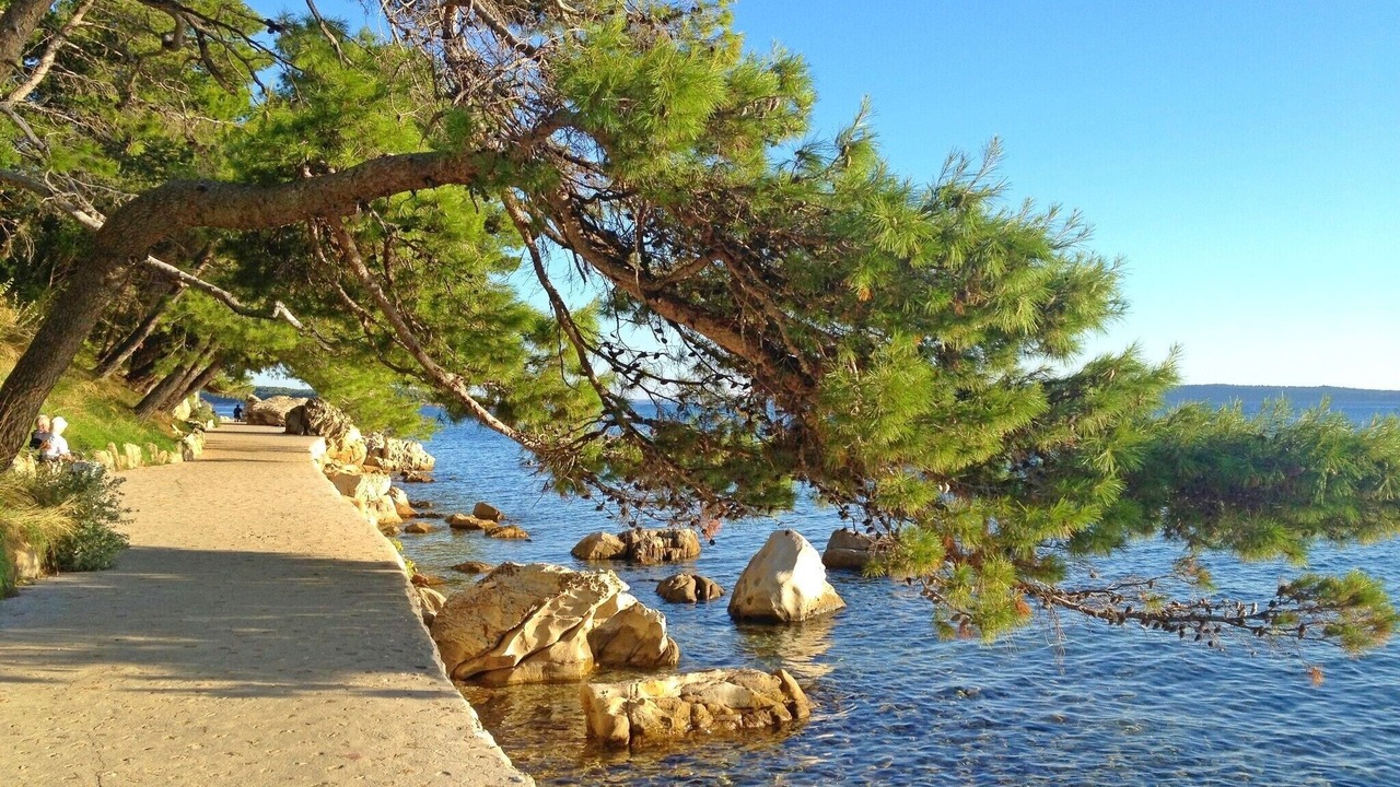 Photo of Others in Banjol