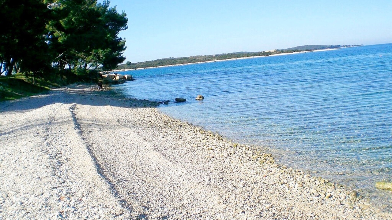 Photo of Others in Stinjan