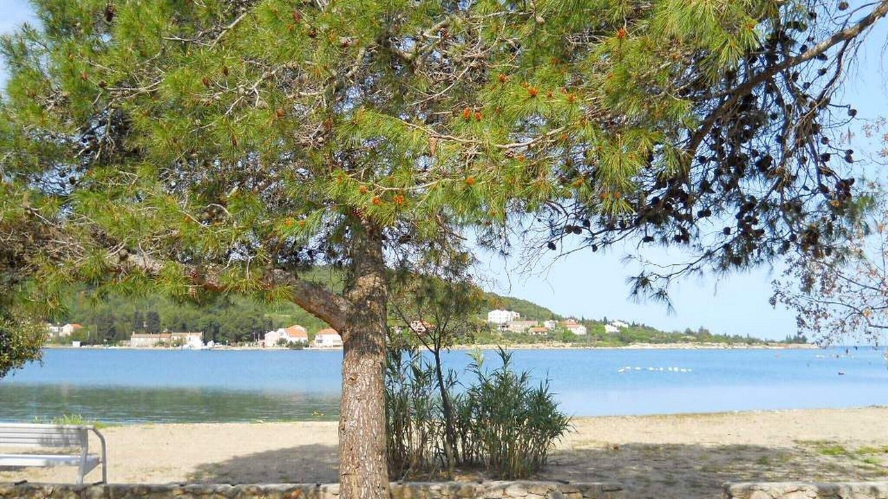 Photo of Outdoor in Sutomiscica