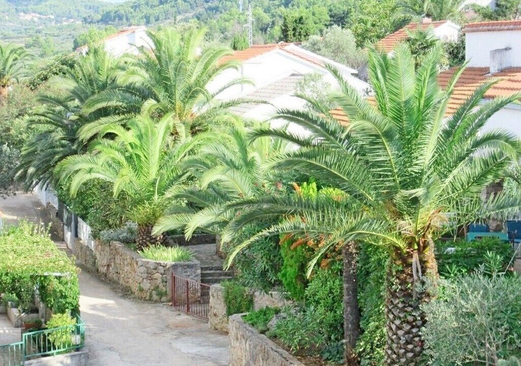Photo of Outdoor in Stari Grad
