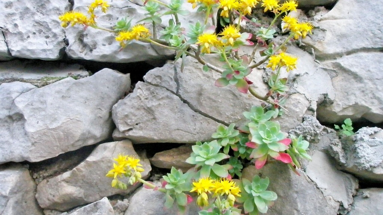 Photo of Outdoor in Medvinjak