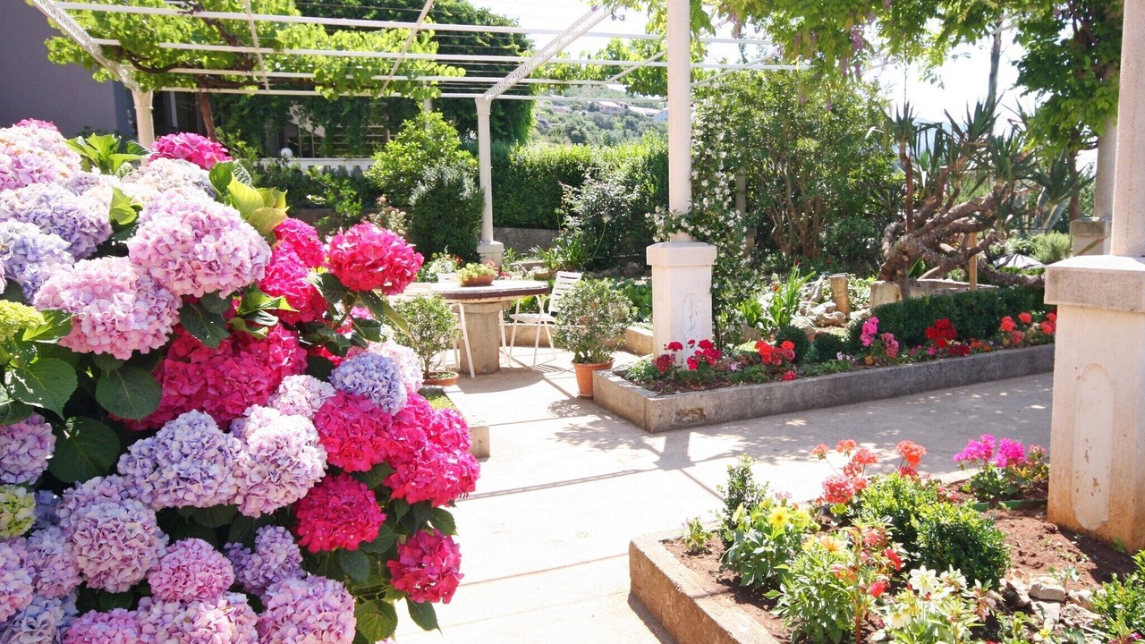 Photo of Outdoor in Mlini