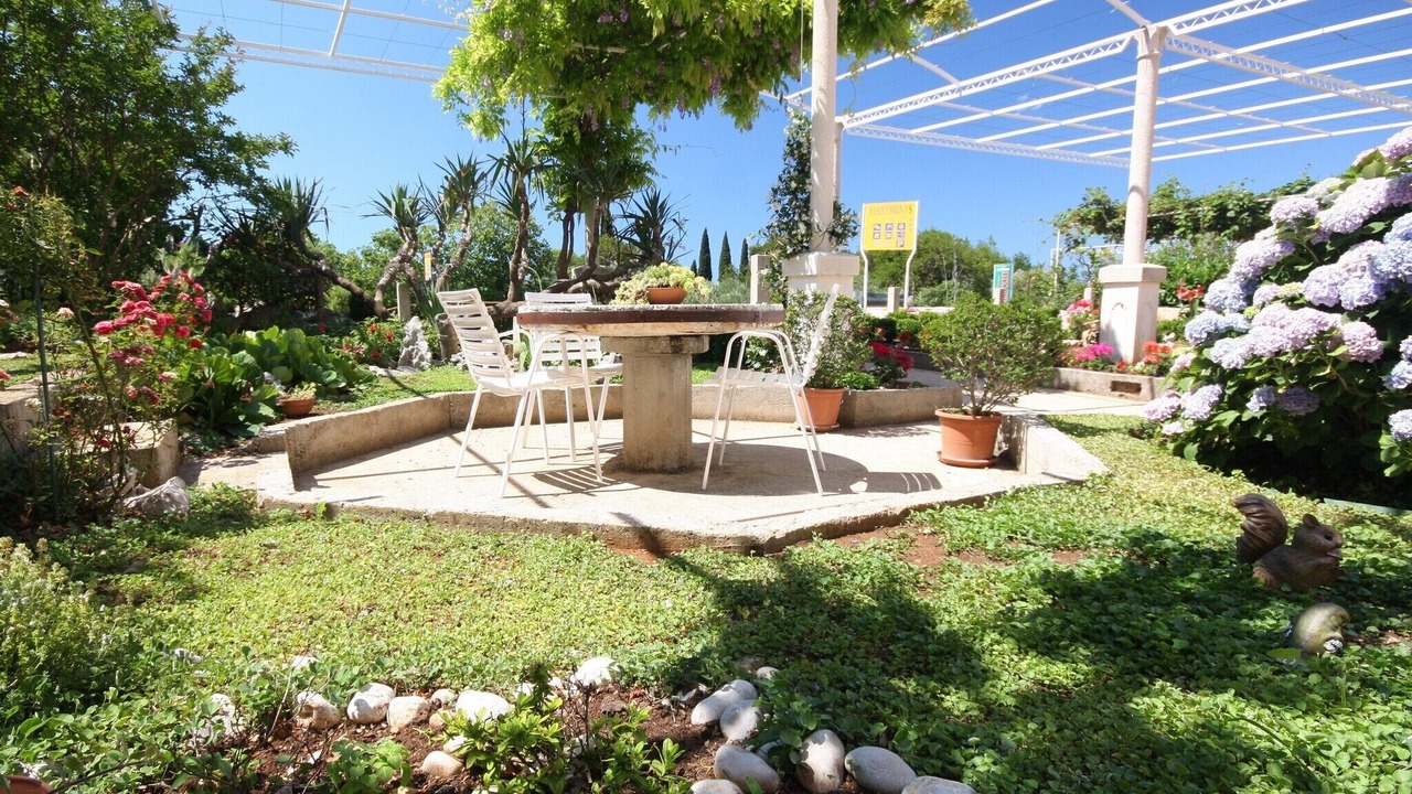 Photo of Outdoor in Mlini