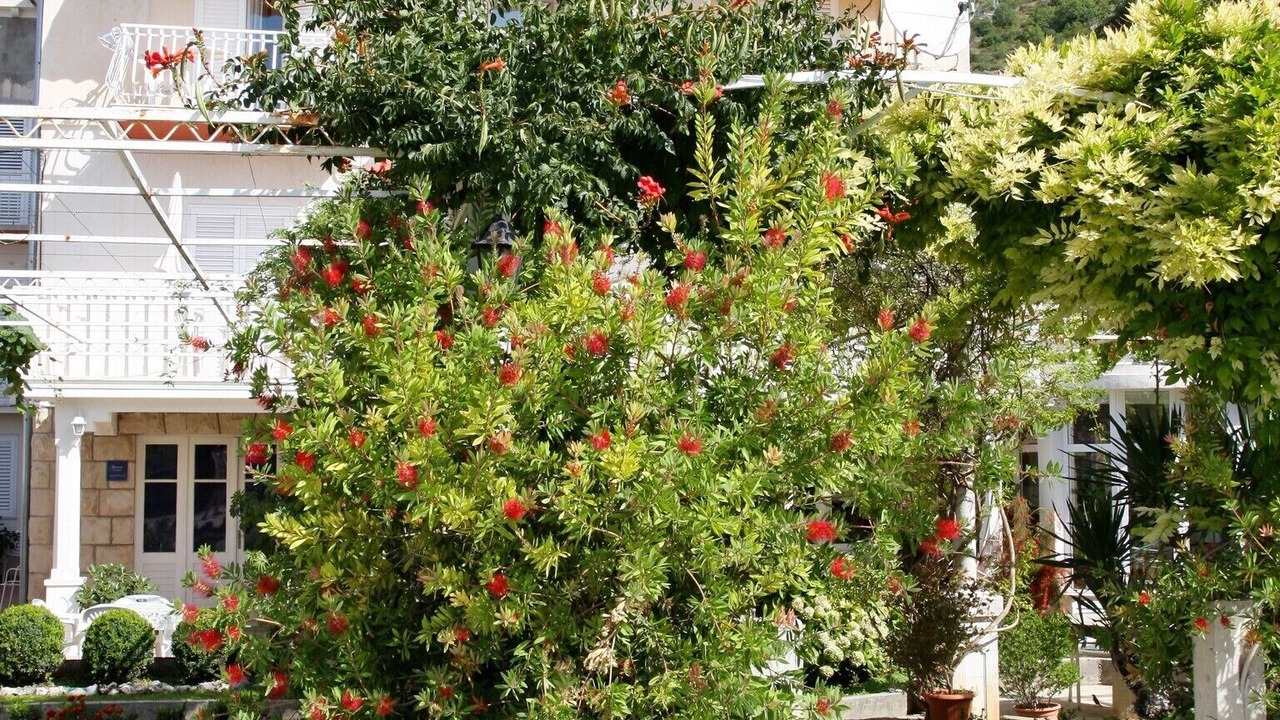 Photo of Outdoor in Mlini