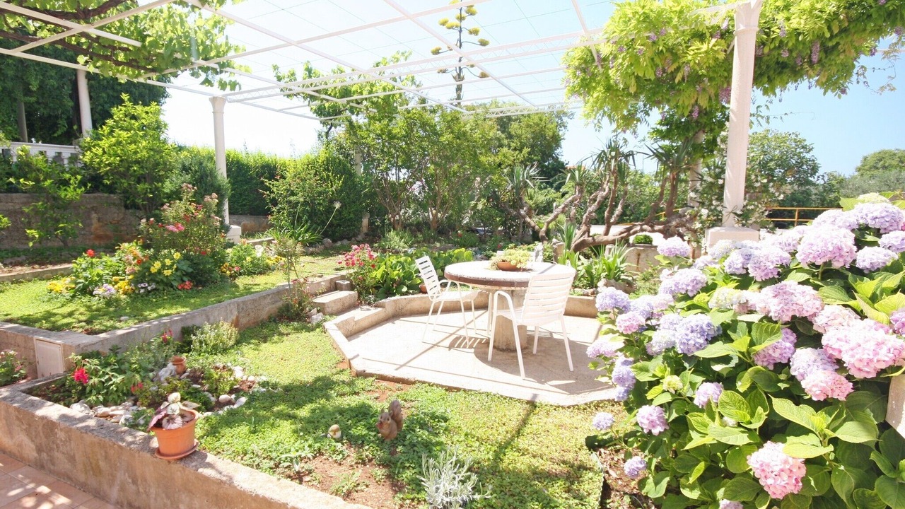 Photo of Outdoor in Mlini