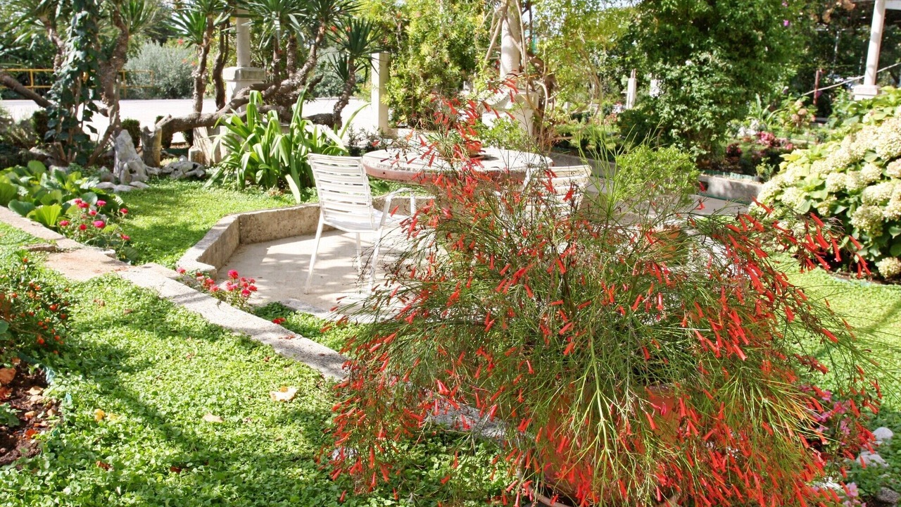Photo of Outdoor in Mlini
