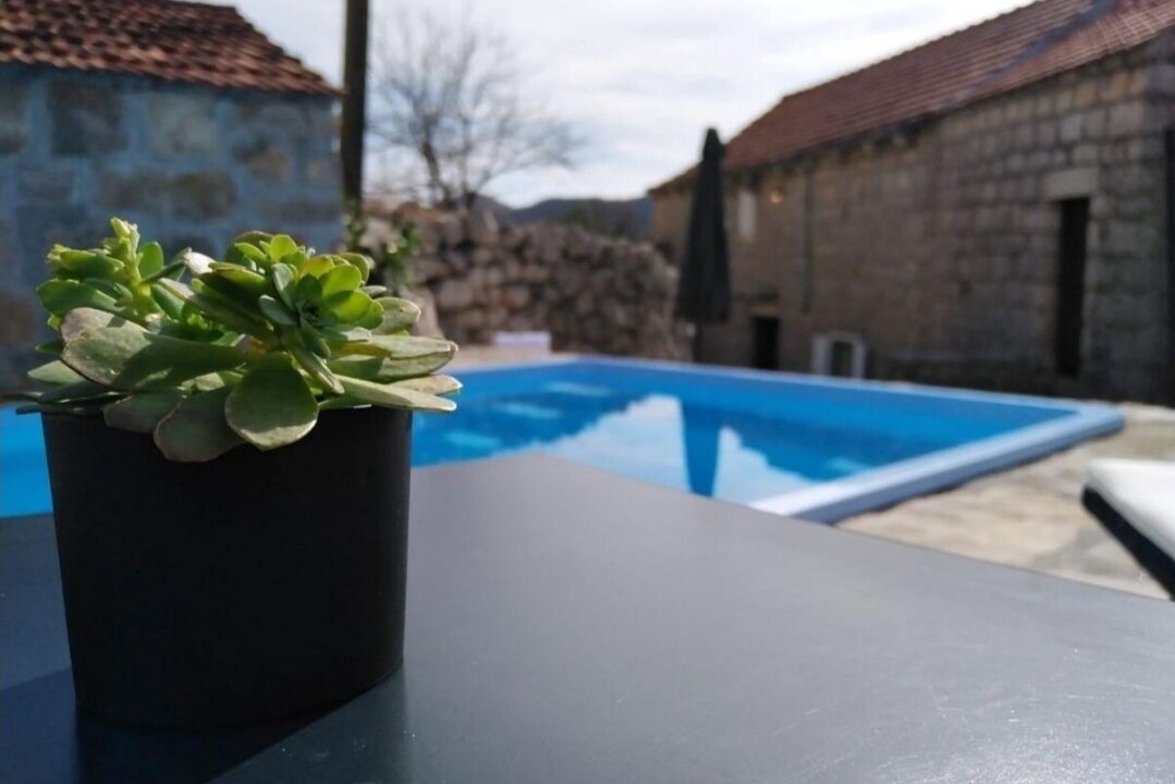 Photo of Outdoor in Stravca