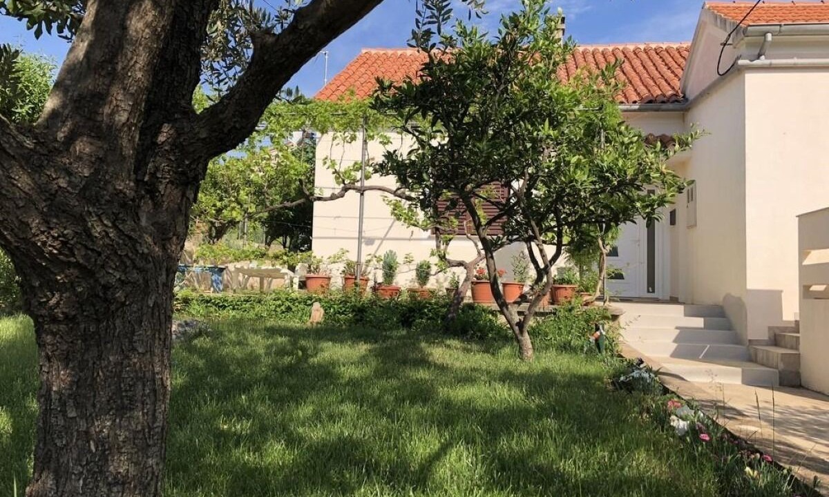 Photo of Outdoor in Lukoran