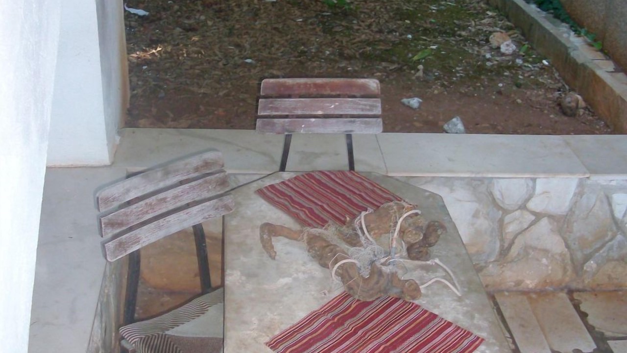 Photo of Outdoor in Stomorska