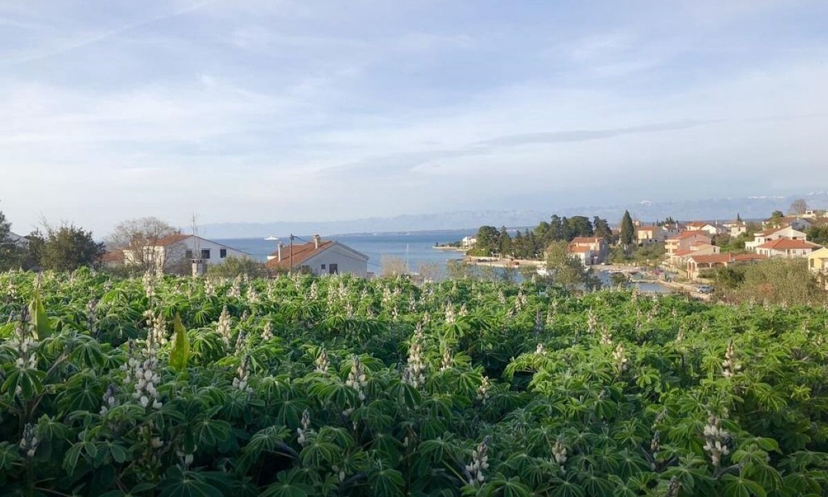 Photo of Outdoor in Lukoran