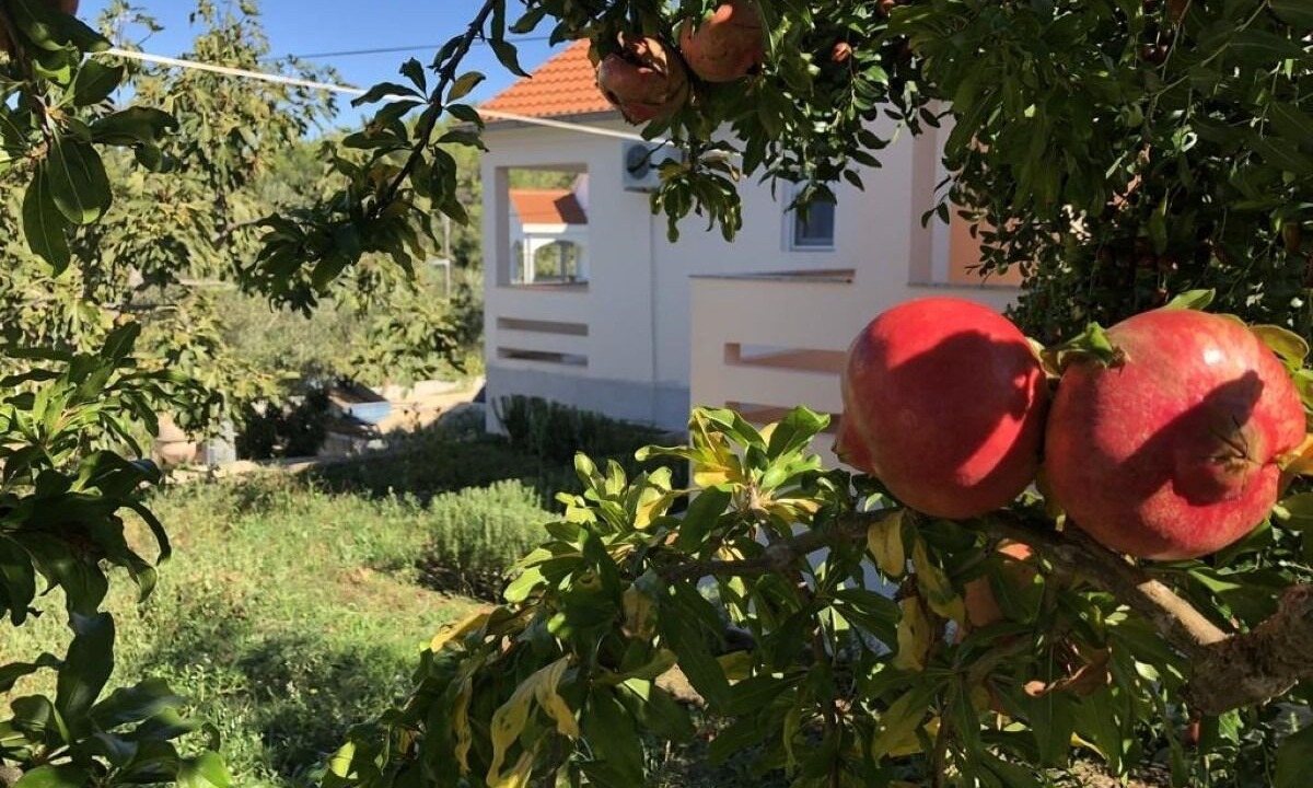 Photo of Outdoor in Lukoran
