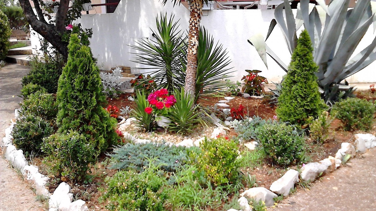 Photo of Outdoor in Ugljan