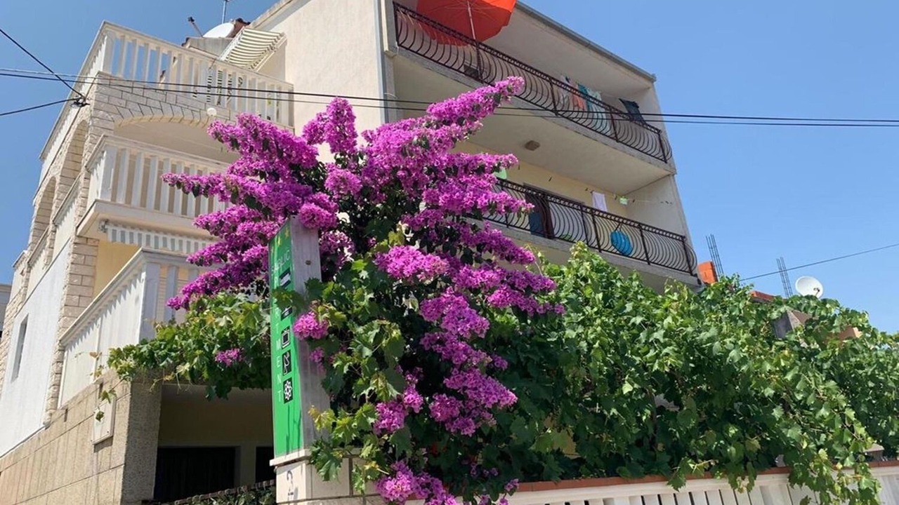 Photo of Outdoor in Marina