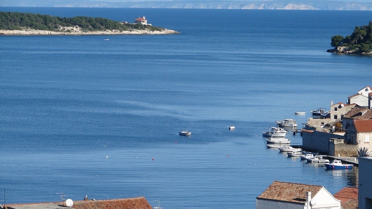Photo of Others in Vis