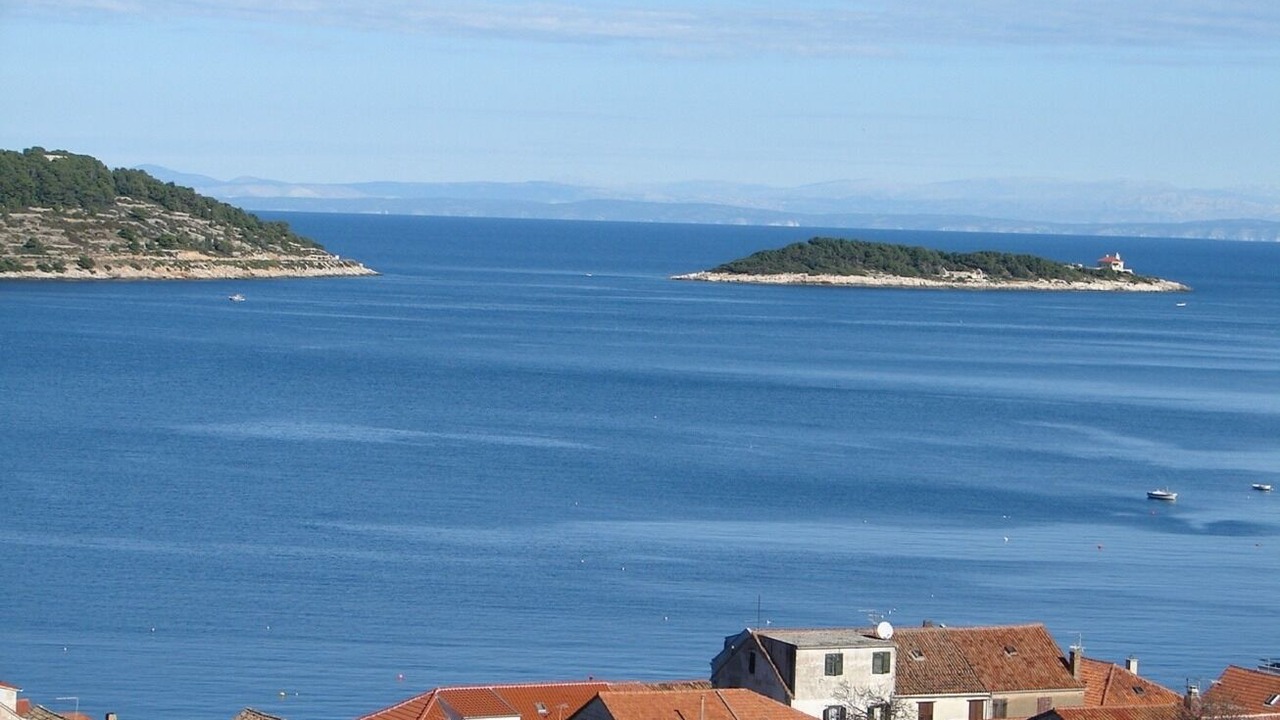 Photo of Others in Vis