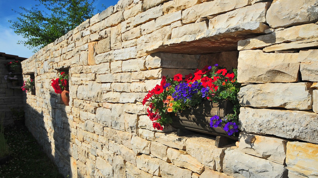 Photo of Outdoor in Lisicici