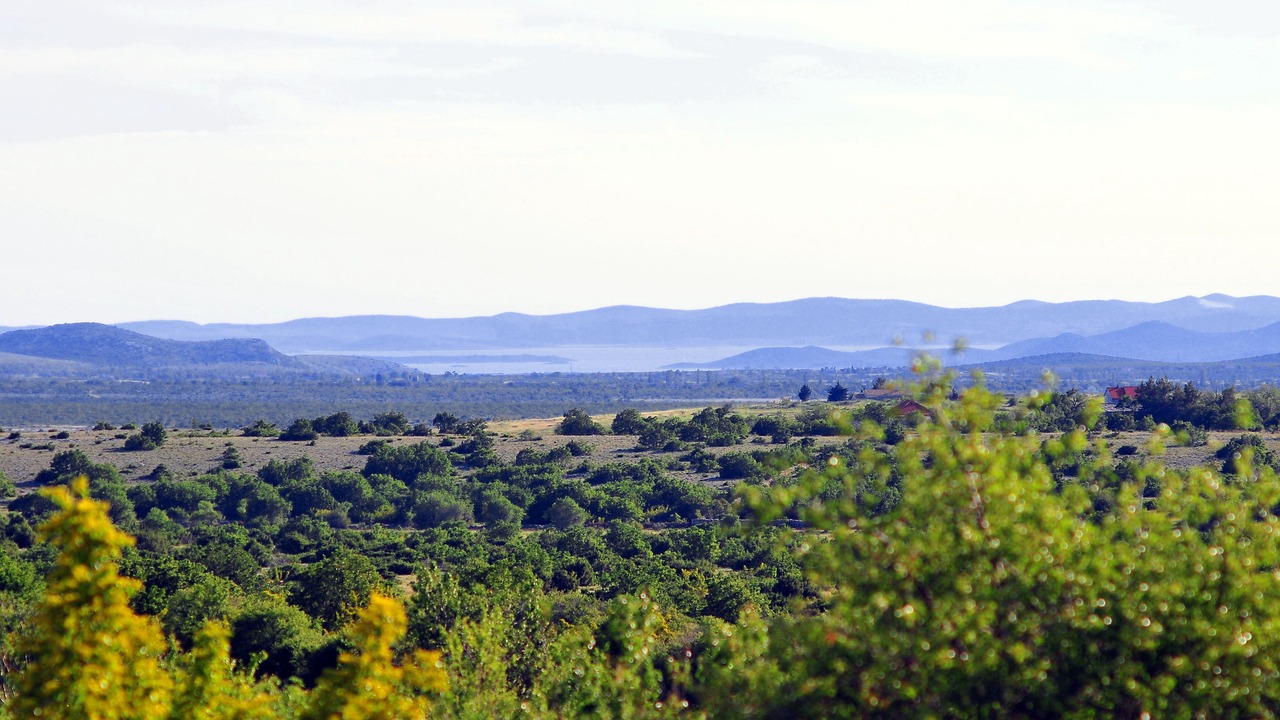 Photo of Outdoor in Lisicici