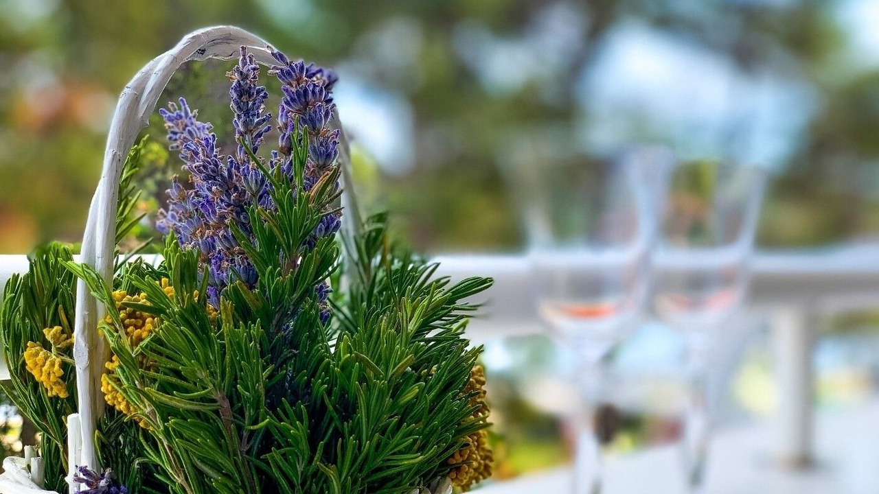 Photo of Outdoor in Verunic