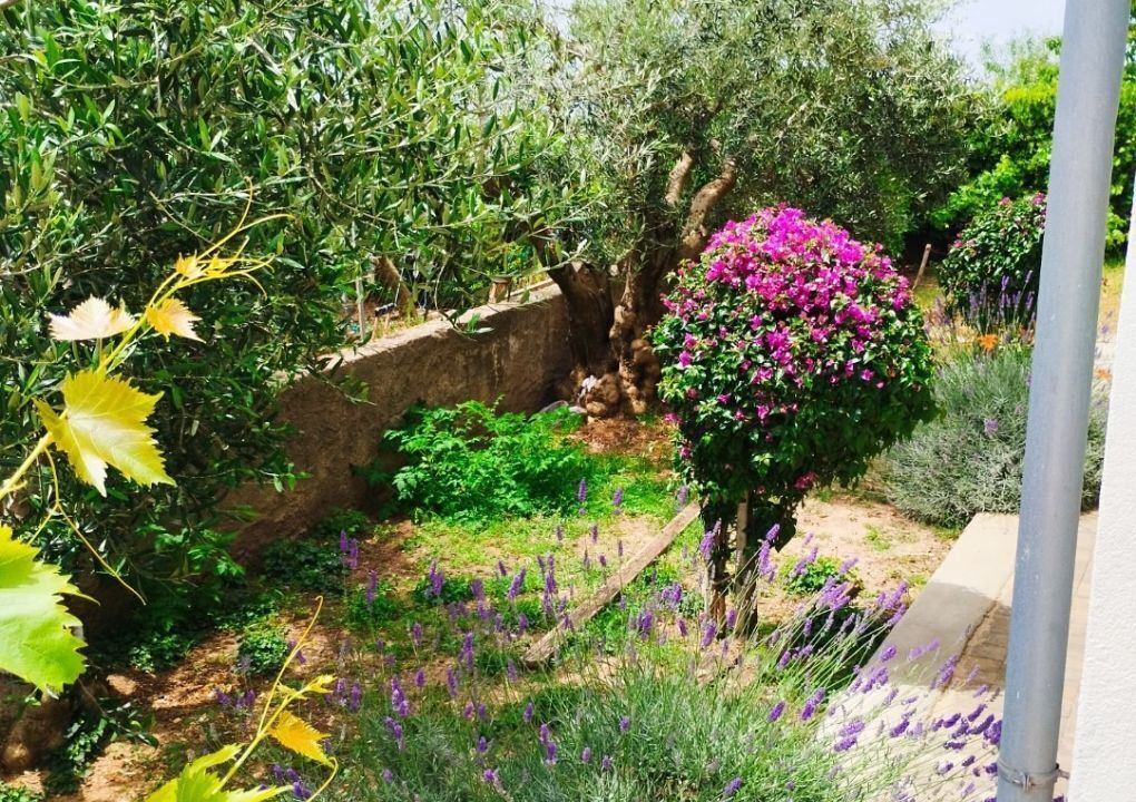 Photo of Outdoor in Rtina